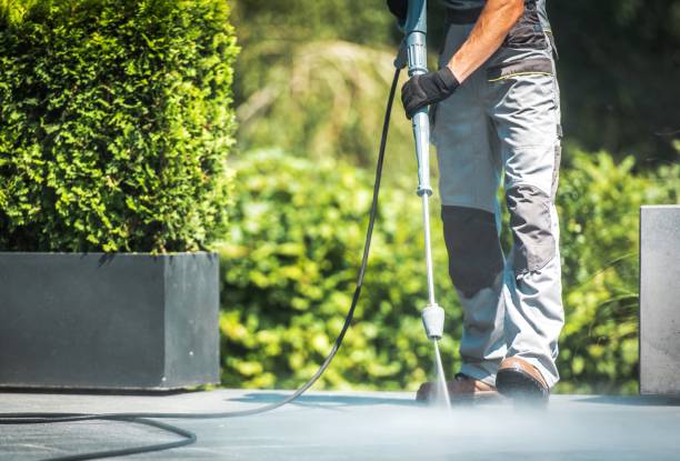 Best Boat and Dock Cleaning  in Island Walk, FL