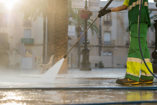 Best Solar Panel Cleaning  in Island Walk, FL